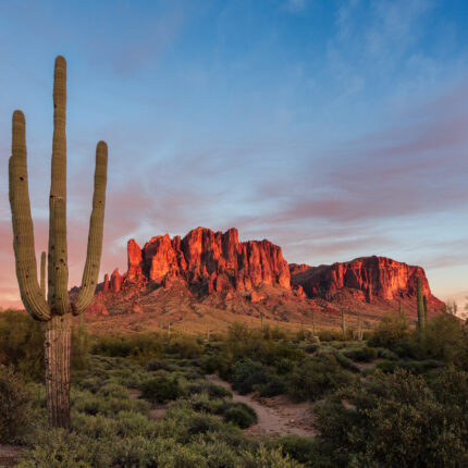 Desert landscape